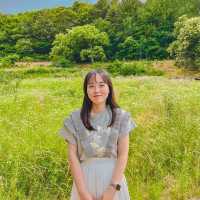 부산근교 산책하기 좋은 여행지, 밀양 🌱