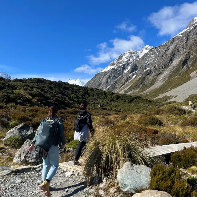 fruitful New Zealand trip 