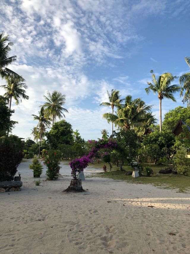 Ko Pha Ngan 🌴