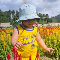 #D' Green Thumb Flower Garden. 