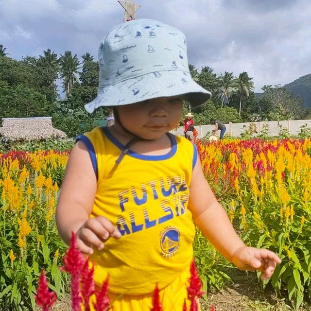 #D' Green Thumb Flower Garden. 