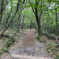 Hallasan Volcanic Mountain tour