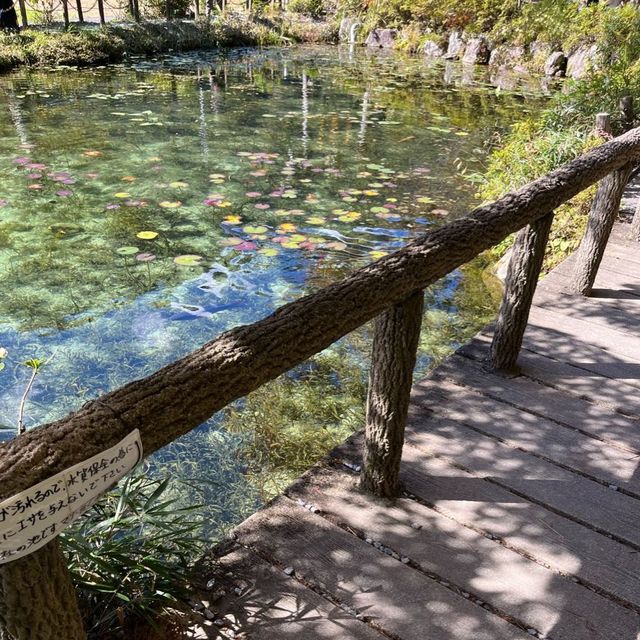 モネの池🐠