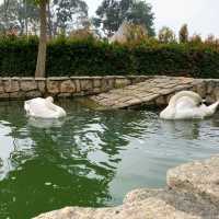 
Colmar Tropicale Resort Berjaya Hill