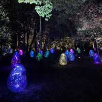 大阪長居植物園 Osaka Botanical Garden Teamlab 