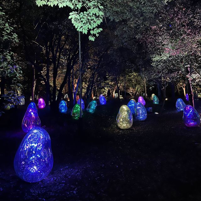 大阪長居植物園 Osaka Botanical Garden Teamlab 