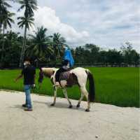 A village style for gateway and photography!