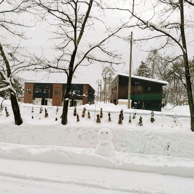 Snowy Christmas in Hakuba