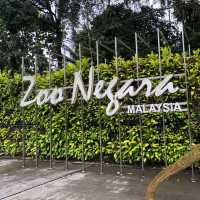 Fun Day at Zoo Negara