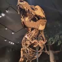 보즈먼 museum of the rockies 