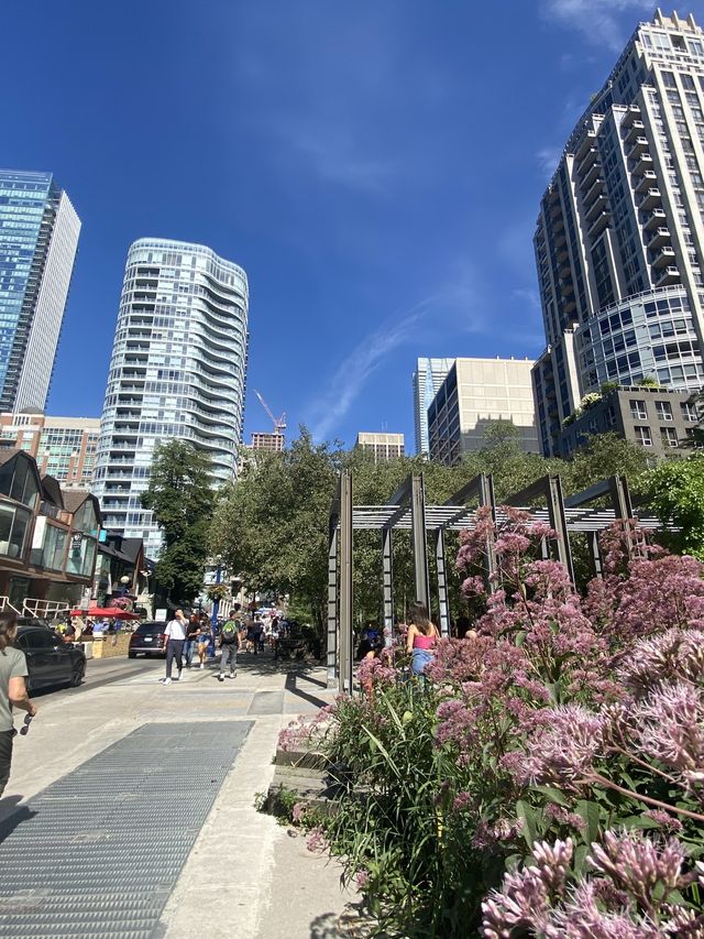 Village of Yorkville Park