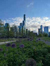 Chicago - Architecture 