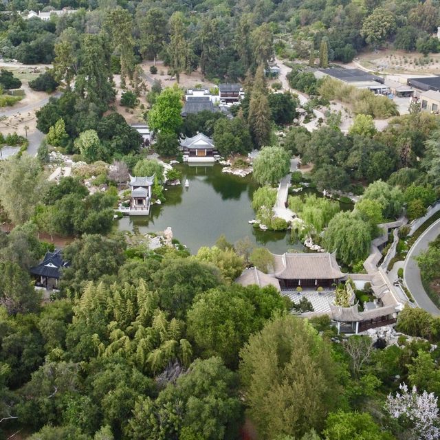 Magnificent Asian garden, a must visit to LA