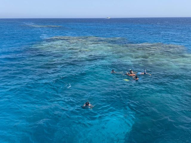 First Time Sub 🤿🐠