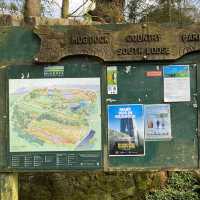 Mugdock Wood & Loch