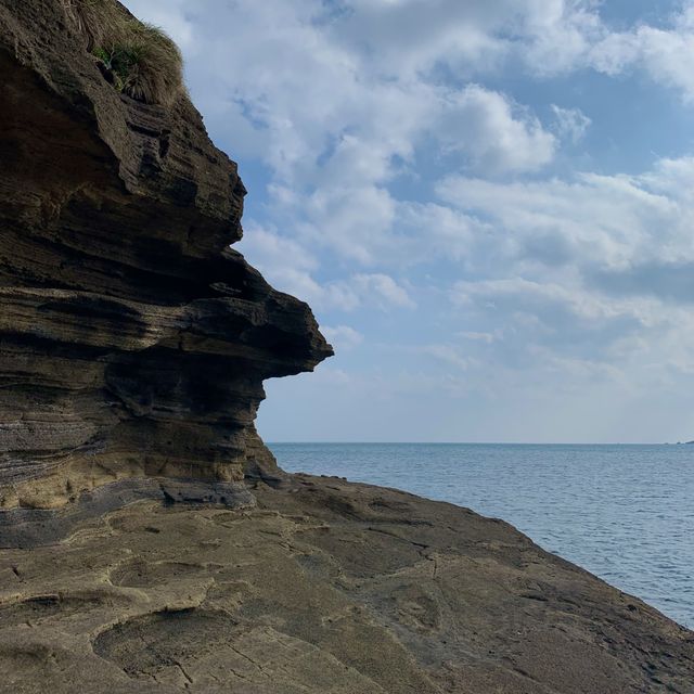 유채꽃밭을 볼 수 있는 제주 용머리해안