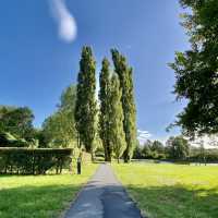 Netherlands Wonderful Scenery 