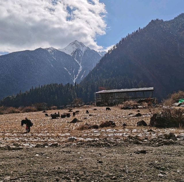 Yubeng Village（雨崩村)| An Idyllic Land