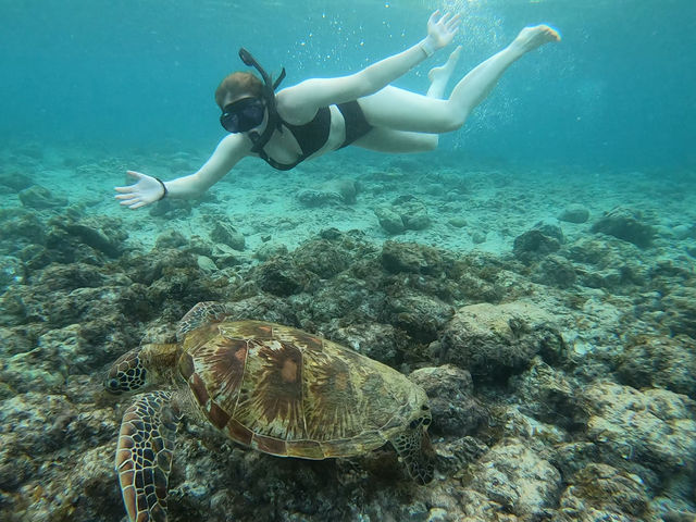 Cebu- Snorkelling Paradise