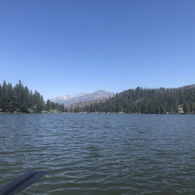 sequoia park