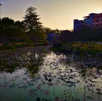 Another day, another park…Huangpu, Guangzhou 