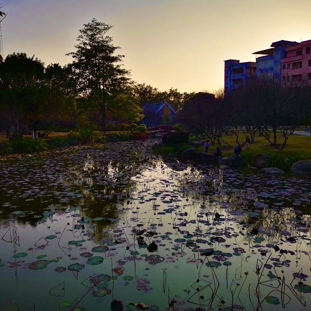 Another day, another park…Huangpu, Guangzhou 