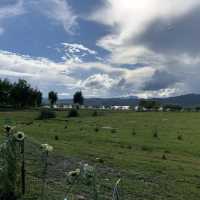 wetlands in Lashi Lake