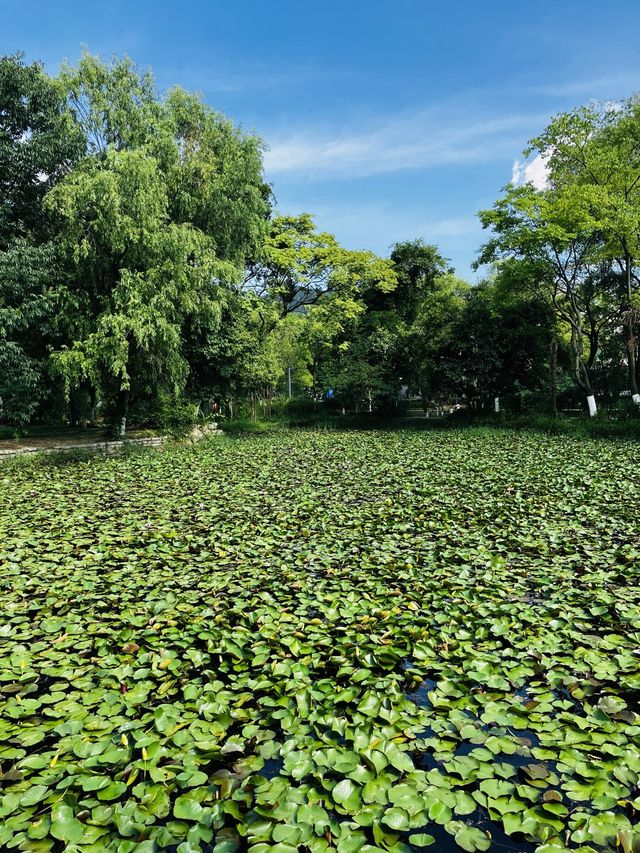 Huaxi Park, Guiyang, Guizhou, China 