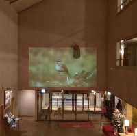 北海道佐吕间湖鹤雅休闲度假温泉酒店嘅晚餐