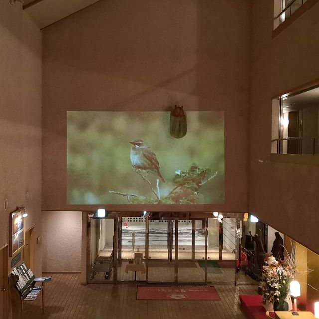 北海道佐吕间湖鹤雅休闲度假温泉酒店嘅晚餐