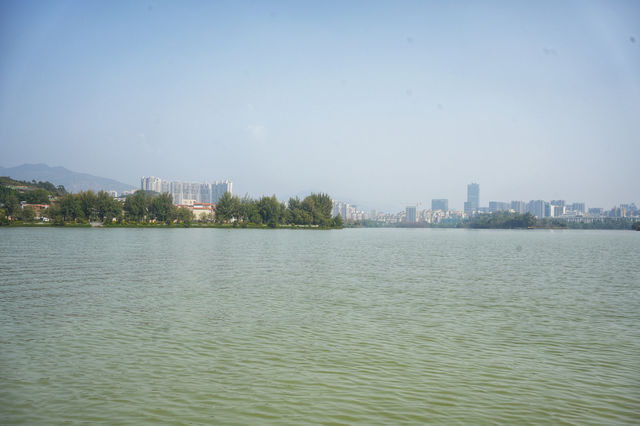 Recommend taking the elderly and children to Qixingyan Wetland Park for fun.
