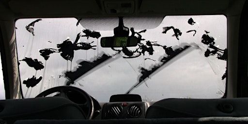 CRASH TEST (7+) | Bibliotheek De Poort