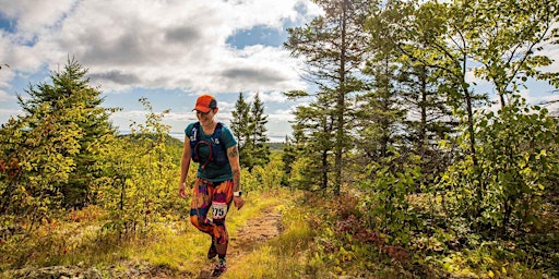 6 Wks at 6 pm Wed. Hills Run/Hike Clinic | Chinsegut Hill Historic Site, Chinsegut Hill Road, Brooksville, FL, USA
