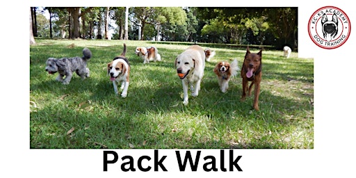 Pack Walk | Lapham Peak
