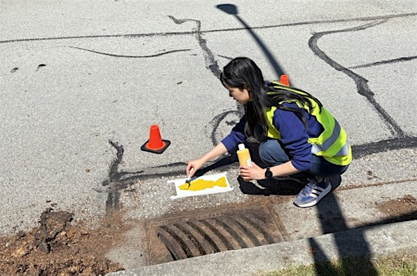 Jonathan Rogers Park Yellow Fish Catch Basin Marking | Jonathan Rogers Park
