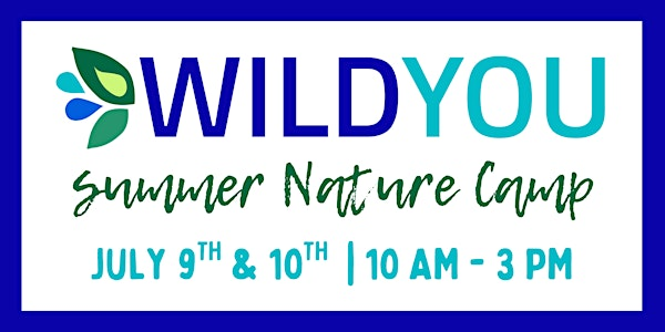Summer Nature Camp | Austintown Township Park