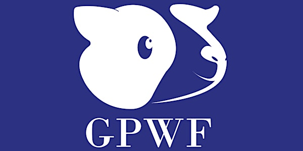 Guinea Pig Welfare Forum 2025 | Crowne Plaza Birmingham City Centre, an IHG Hotel