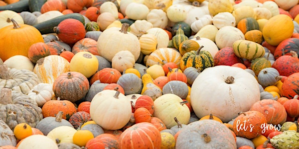 Decoupage Pumpkin Workshop | Cold Creek Nurseries, Hitchcock Parkway, Aiken, SC, USA