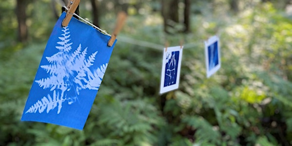 Empreintes botaniques – Cyanotype et mémoire des jardins | Le Monastère des Augustines