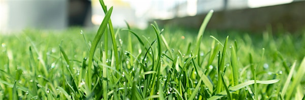 GREEN GTBOP Webinar Series - Thursday, November 13, 2025 | UGA Griffin Campus