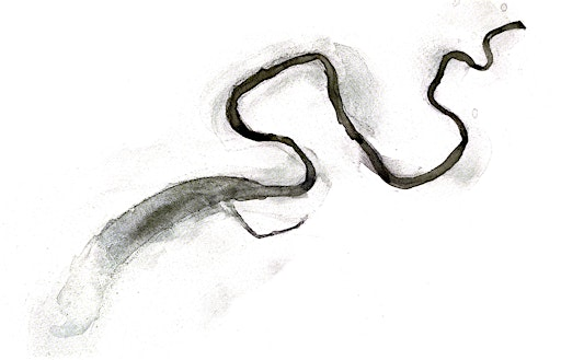 SuperSevern Symposium | University of Gloucestershire, Park Campus