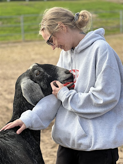 Sanctuary Day at Greener Pastures Farm Sanctuary | Greener Pastures Farm Sanctuary