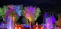 Whistling Gardens Sunset Yoga & Fountain Experience | Whistling Gardens