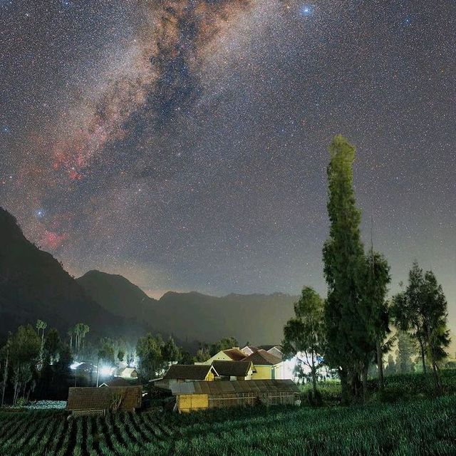 MOUNT BROMO, EAST JAVA