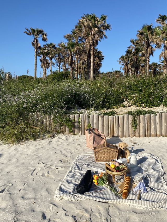 노을맛집 🌅 피크닉