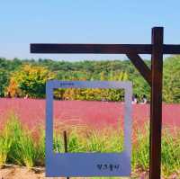 ์ธ์ฐ ํํฌ๋ฎฌ๋ฆฌ ๋ช
์ '์ธ์ฐ๋๊ณต์'