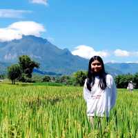 ดอยหลวงเชียงดาว​ ⛰️