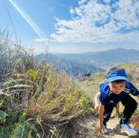 黃牛山尋芒草之旅