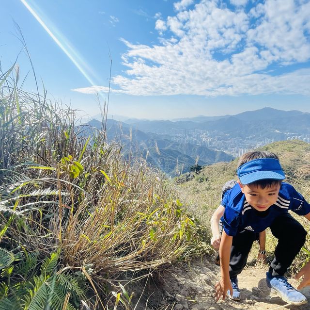 黃牛山尋芒草之旅