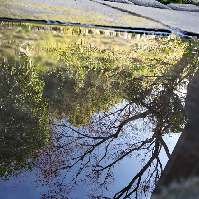 【伊豆長岡】割烹旅館 　新叶